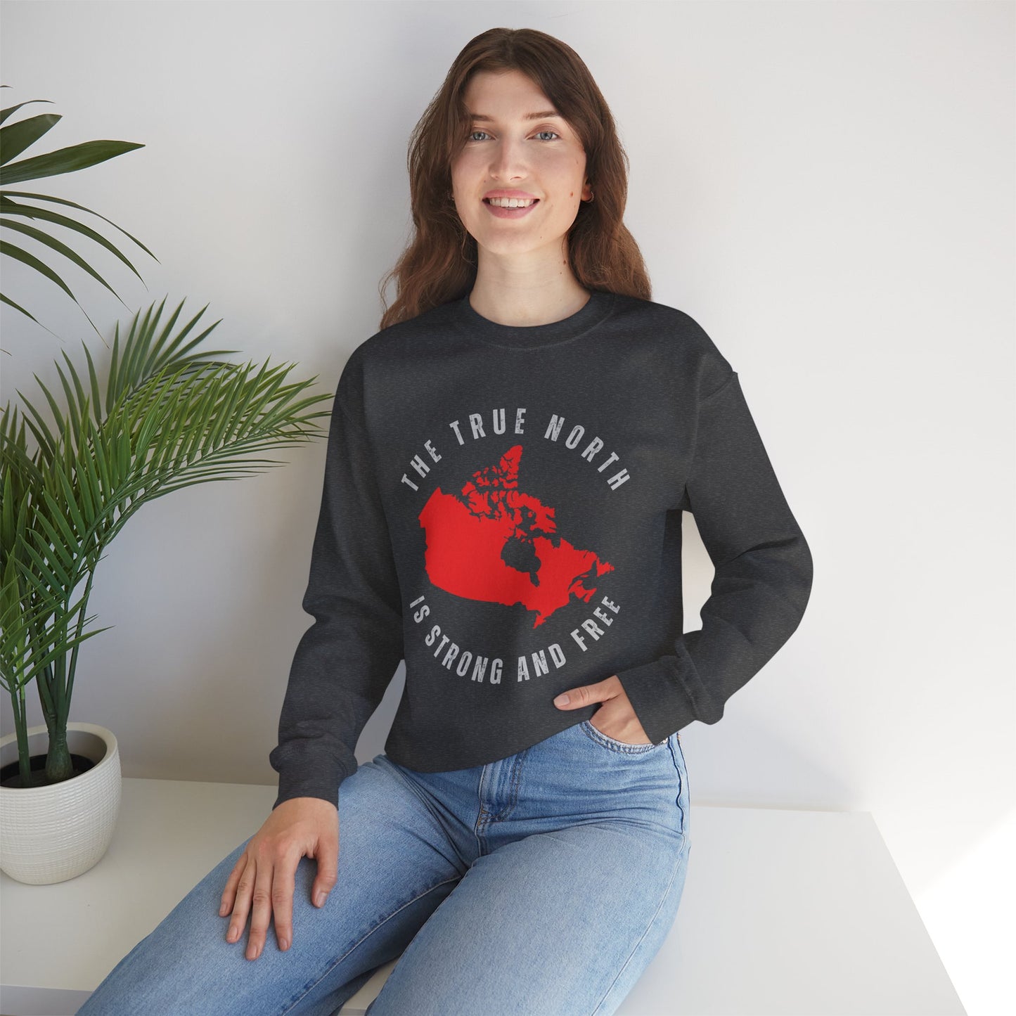 The True North Canadian Map Sweatshirt